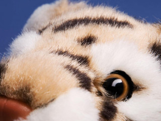 Stuffed animal brown eye white - stuffed free wallpaper