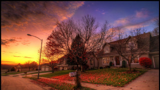 House tree streetlight sunset colorful - arlington nelson lindenmuth free wallpaper