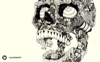 Skull drawing face details eye - other thing free wallpaper