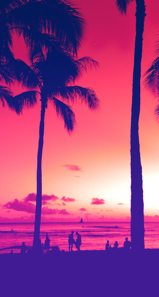 Beach walkers palm trees sunset - a pink sky in the background free wallpaper for mobile