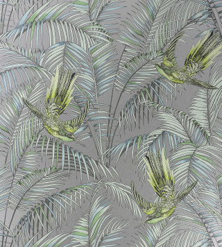 Green bird palm leaves gray - a gray background free wallpaper for tablet