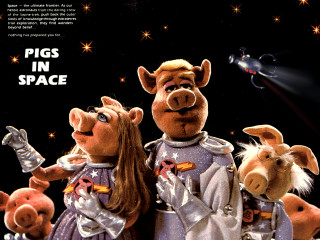 Pigs in space next to - space free wallpaper for desktop