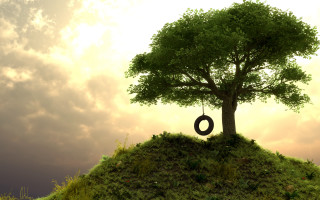 Tire swing tree hill side - a hill free wallpaper