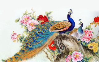 Peacocks branch flowers leaves painting - a watercolor painting free wallpaper