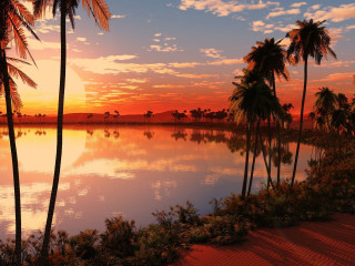 Sunset palm trees water red - palm tree and a body of water free wallpaper