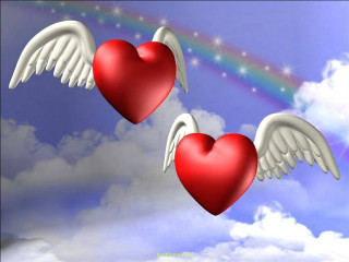 Hearts wings flying sky rainbow - two heart free wallpaper for desktop