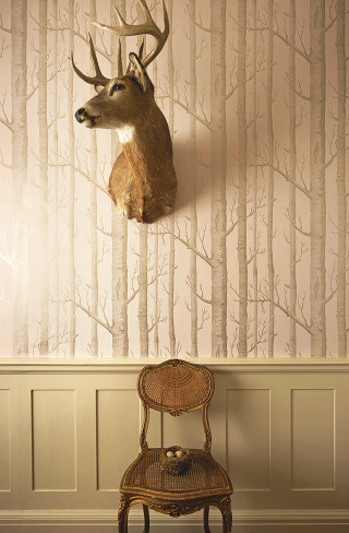 Deer head wall mounted chair - leesha hannigan free wallpaper for mobile