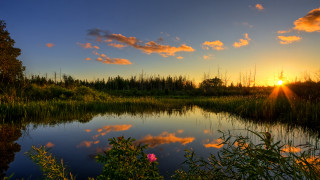 Lake sunset trees clouds sky - flora macdonald reid free wallpaper