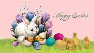 Happy easter bunny chicks grass - happy free wallpaper