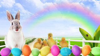 Rabbit chicks fenced area rainbow - a detailed matte painting free wallpaper for desktop