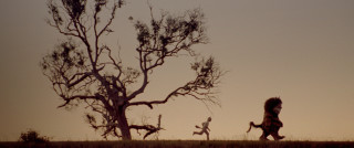 Person running field tree sunset - australian tonalism free wallpaper for desktop