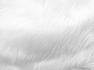 White fur texture black background - ambient occlusion free wallpaper