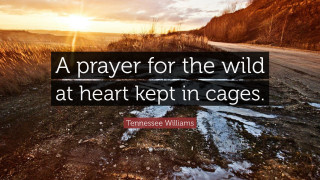 Quote road prayer wild heart - wild free wallpaper for desktop