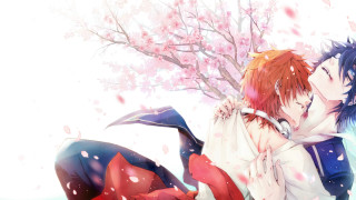 Couple laying snow cherry blossoms - cherry blossom free wallpaper
