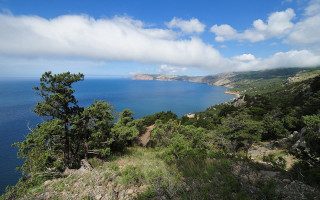 Hilltop water view trees cloudy - a view of a body free wallpaper