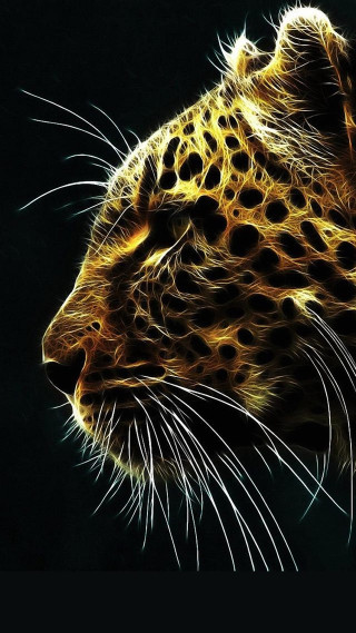 Leopard closeup black background yellow 3 - the side free wallpaper for mobile