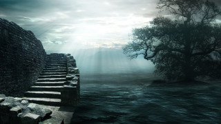 Stone wall tree stairway water - a stone wall free wallpaper for desktop
