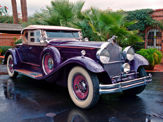 Purple car driveway palm tree - a purple car free wallpaper
