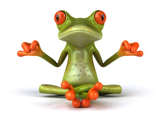 Frog red eyes sitting white - a frog free wallpaper