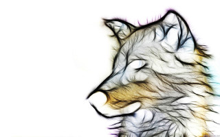 Wolf artistic photo white black - this artistic photo free wallpaper