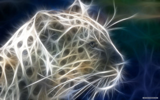 White leopard blue green stripe - a digital painting free wallpaper for desktop