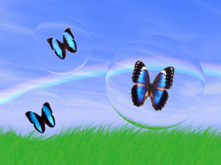 Butterflies green field rainbow bubbles - airbrush free wallpaper