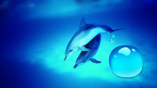 Dolphin blue ball water bubbles - vaporwave free wallpaper