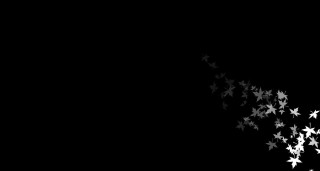 Black white stars dark sky - photo of a bunch free wallpaper