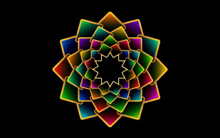 Colorful flower black background white 5 - a colorful flower free wallpaper for desktop