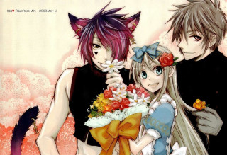 Anime characters holding flowers cat - a couple of anime characters holding free wallpaper