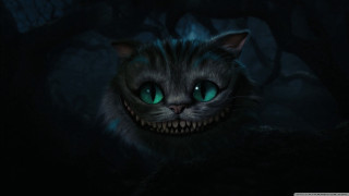 Cat glowing eyes creepy smile - a creepy smile free wallpaper