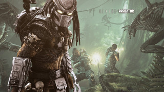 Predator forest alien creatures background - cedric seaut keos masons free wallpaper