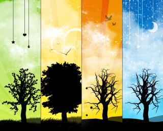 Trees birds sky stars banners - surreal design free wallpaper