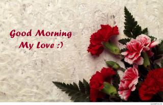 Bouquet flowers white surface message - good morning free wallpaper
