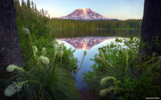 Mountain lake reflection trees grass - a few white flower free wallpaper for desktop