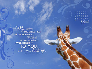 Giraffe blue sky quote image - a giraffe free wallpaper for desktop