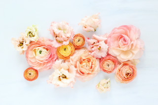 Bunch of flowers on table - claire hummel free wallpaper