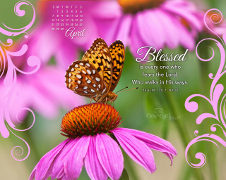 Butterfly flower quote sitting beautiful - the lord free wallpaper