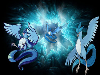 Three blue birds white wings - a blue tail free wallpaper for desktop