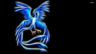 Blue bird wings spread dark - a white outline free wallpaper