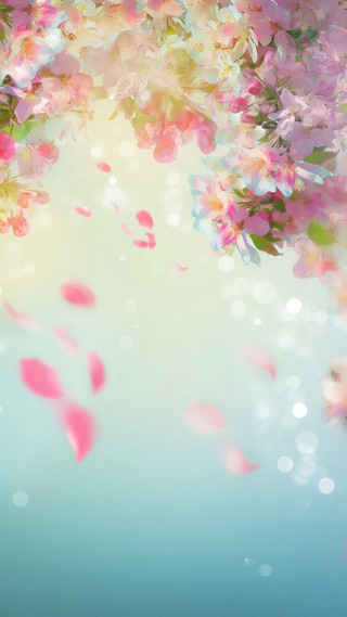 Pink flowers floating bubbles water - bubble of water free wallpaper