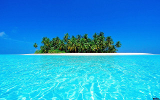 Small island palm trees ocean 16 - a clear blue sky above free wallpaper for desktop