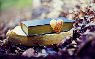 Book heart leaves woods pile - a bookmark free wallpaper