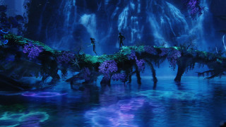 Avatar man woman bridge water - purple flower free wallpaper