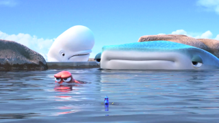 Man swimming pool whale background - institutional free wallpaper