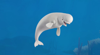 White dolphin swimming ocean mouth - an illustration of free wallpaper for desktop