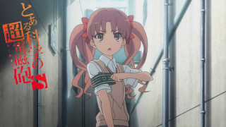 Girl long hair ponytail alley - long hair and a ponytail free wallpaper