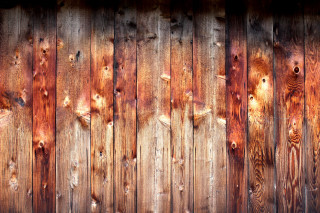 Wooden fence wood planks bird - the fence free wallpaper