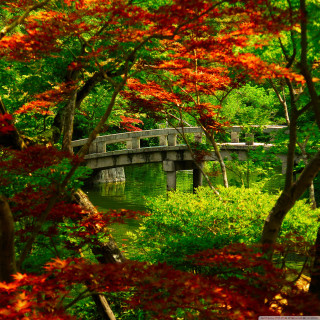 Bridge river trees autumn impressionism - free spring wallpaper for tablet