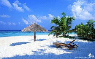 Beach palm umbrella sand lounge - umbrella free wallpaper